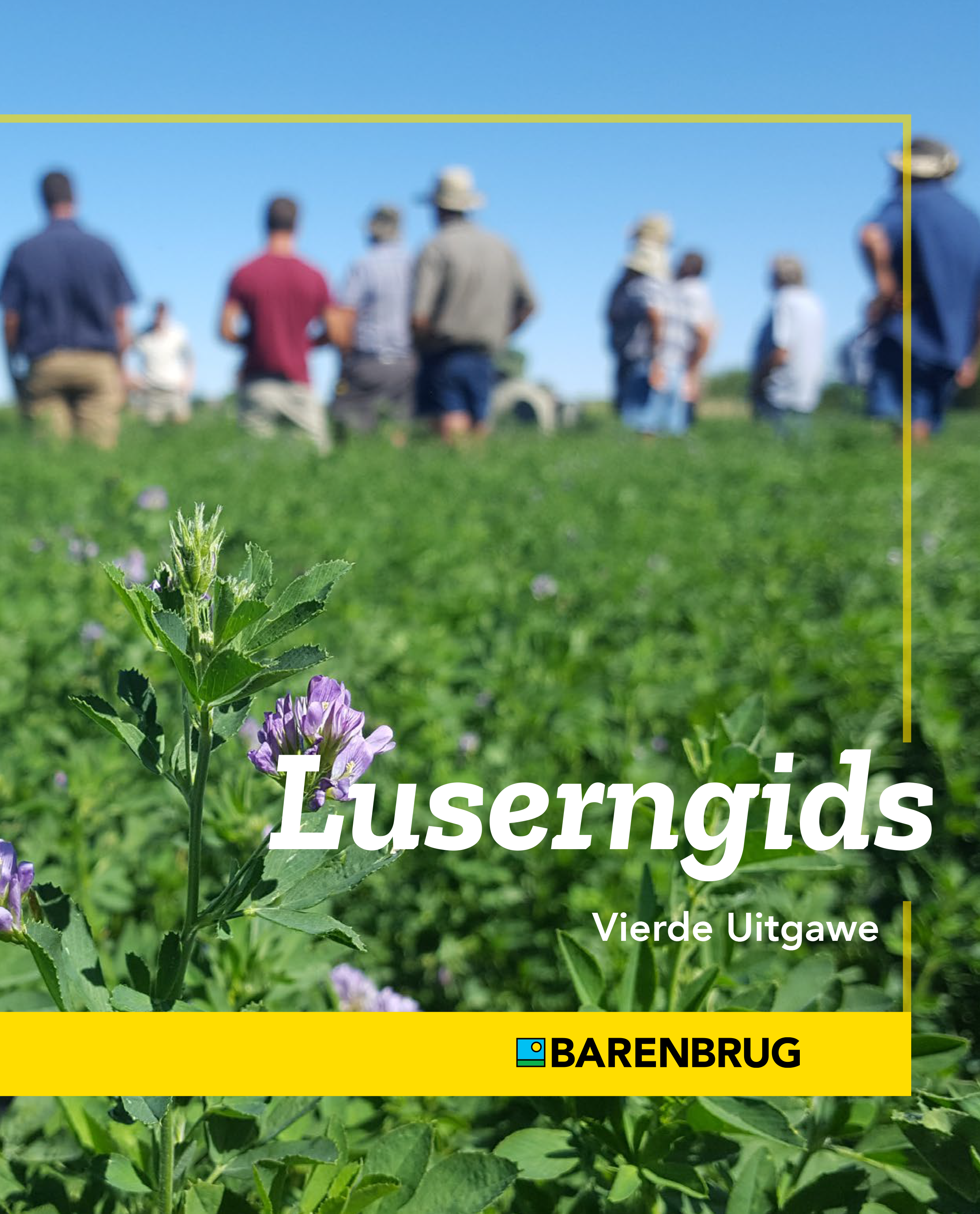 Barenbrug Luserngids 4de uitgawe