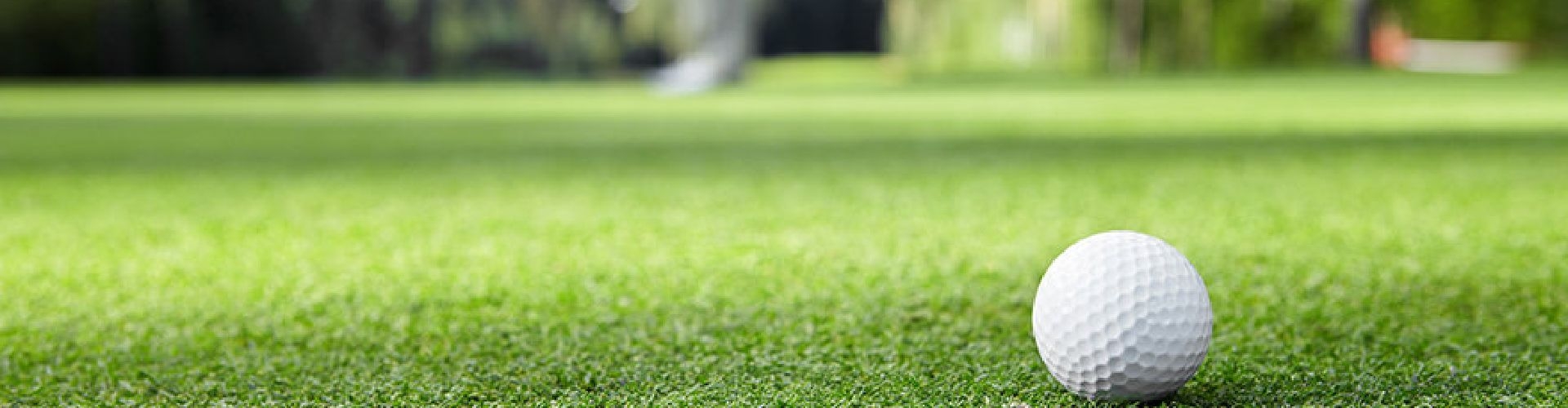 Elite Greens Made Easy