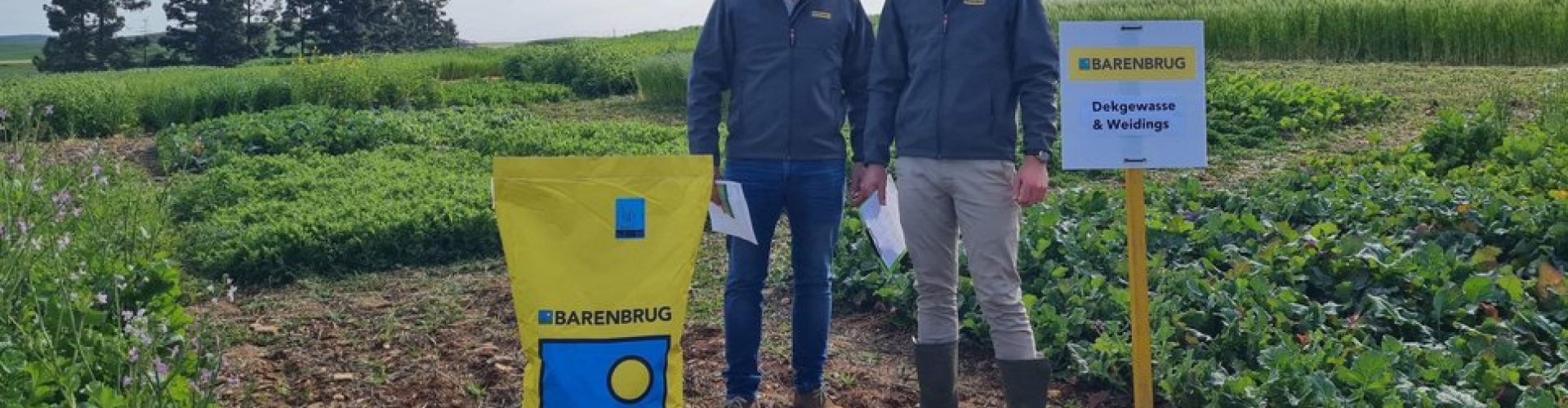 Nuwe kultivars vir weiding en grondgesondheid IMAGE 1