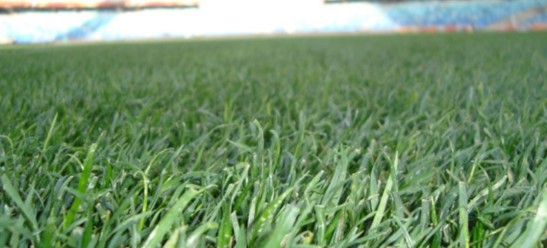Turfsaver - RTF