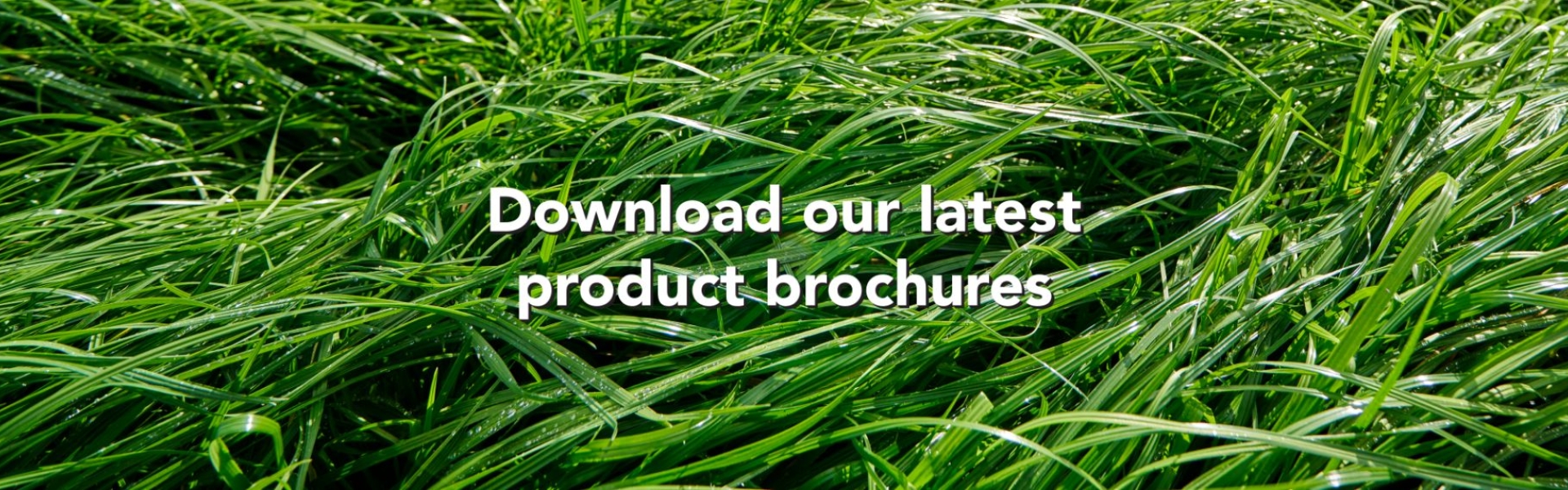 Downloads Banner