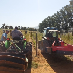Cover Crop Termination IMAGE 1